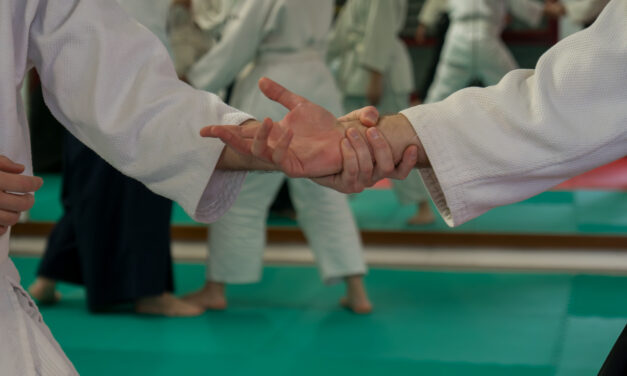 Il ruolo di Uke – Ritrovare la corretta pratica (circa il seminario con Bodo Rödel)