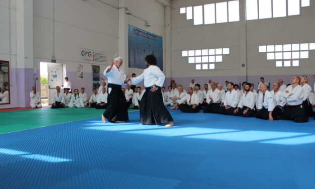 2nd June 2024 – Bruno Gonzalez Sensei: Axis of action and Musubi